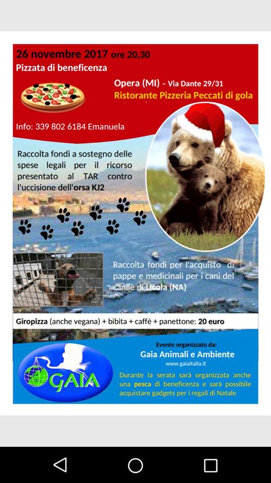 opera x orso 23471925_733281733526953_8779087473176271887_n - copia